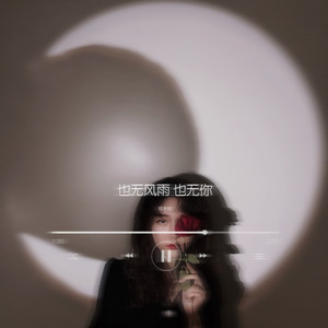 也无风雨也无你