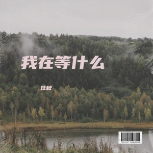 我在等什么