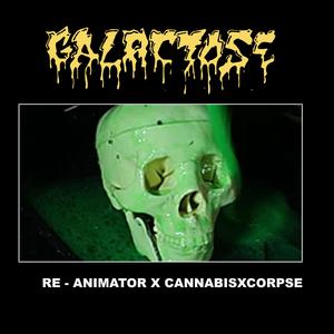 RE ANIMATOR X CANNABISXCORPSE