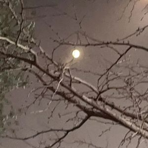 None of my business(cover by:ITZY)