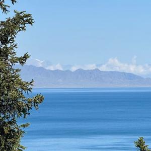 水族箱里的气泡