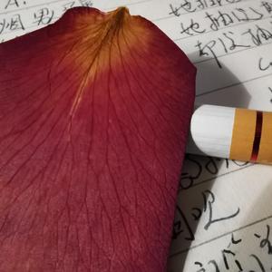 《女人抽烟》词曲唱赵鑫