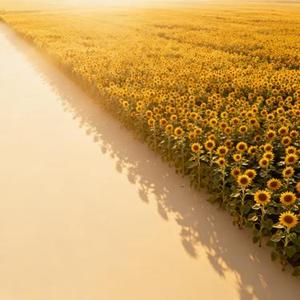 最美的太阳 (Cover 张杰)