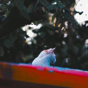 [FREE]“Rainy”--emo guitar type beat