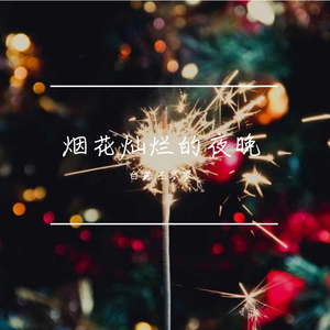 烟花灿烂的夜晚
