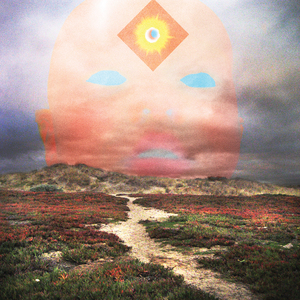 From Stardust to Sentience