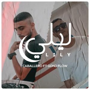 Lily (feat. Gond flow)
