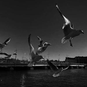 静悄悄remix 前男友