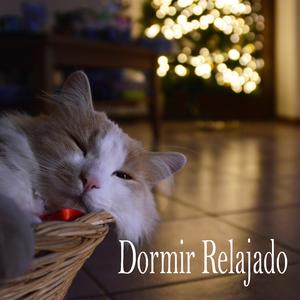 Dejando