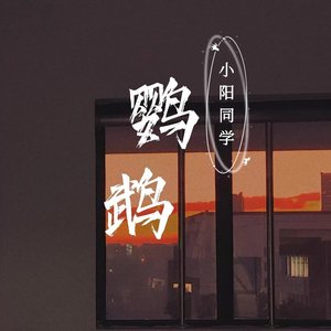 鹦鹉