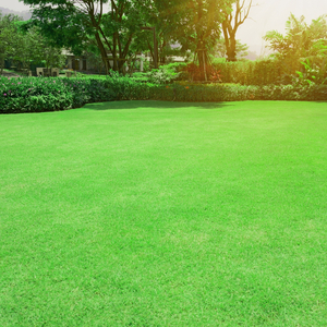 Mowing