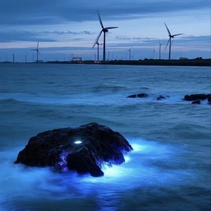 宇宙级浪漫