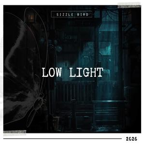 Low Light