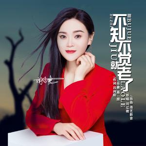 不知不觉就老了 (DJ版)