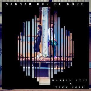 Saknar hur du göre (feat. Teck Noir)