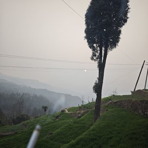 《我以为》