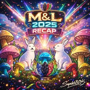 M&L 2025 Recap (EDM)