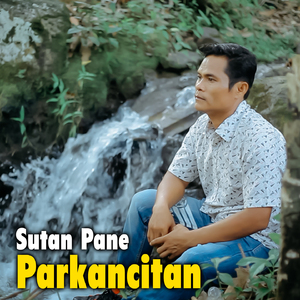 PARKANCITAN