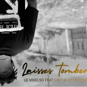Laisses tomber