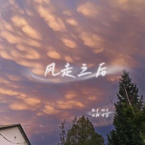风走之后