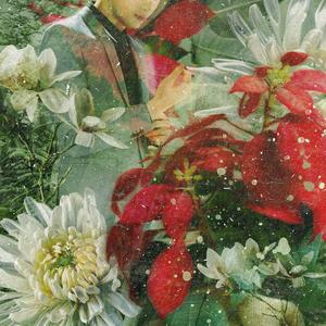 今年圣诞我依然在期待