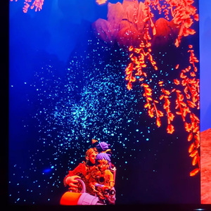 无题prod.No Birthday