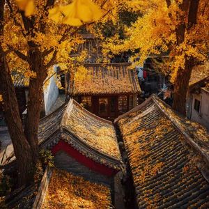 《余生相伴，爱意长流》灵萌可爱的水果拼盘