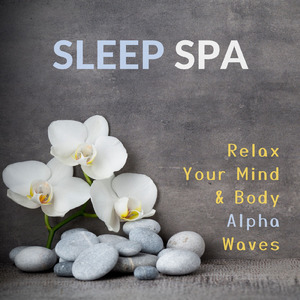 睡眠導入音楽 -1/fゆらぎ-