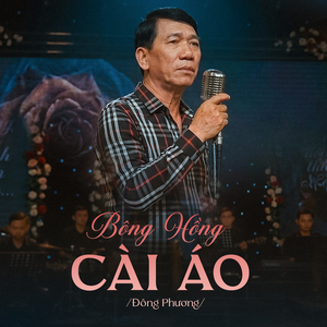 Bông Hồng Cài Áo