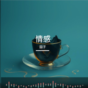 《星屑织梦者》