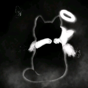 红色高跟鞋（cover呆呆7）