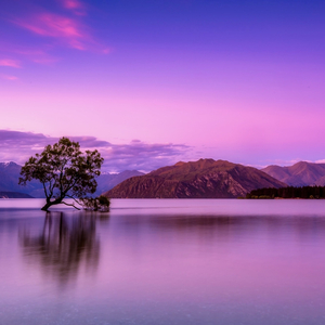 Calming