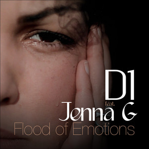 Floods of Emotions (Enei D&B Mix)