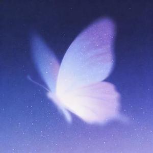 一生与你擦肩而过 (Cover 阿悠悠)