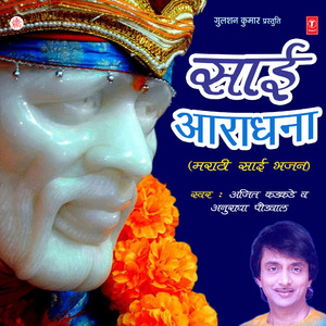 Aali Saibabachi Palkhi