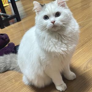 我喜欢上你时的内心活动