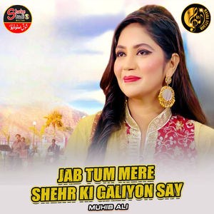 Jab Tum Mere Shehr Ki Galiyon Say (1)