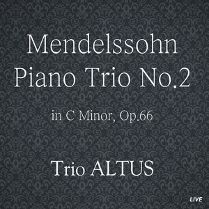 Mendelssohn Piano Trio No.2 in C Minor, Op.66-Andante Espressive