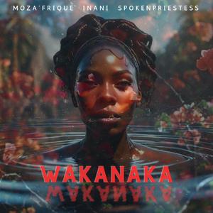 Wakanaka (feat. Spokenpriestess)