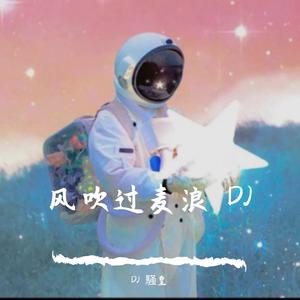 李健-李健-风吹麦浪 DJ 騒皇（DJ 騒皇 remix）