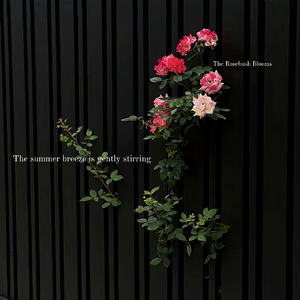 同花顺(2).wav（翻自 林倛玉）