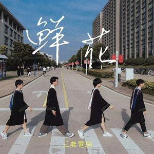 鲜花(三无电网特别版)