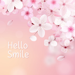 Hello Smile