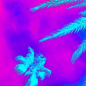 NOT IN LOVE (feat. Kaylene)