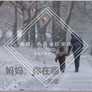 妈妈，你在哪 - 张斌