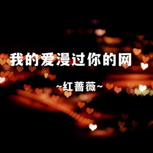 我的爱漫过你的网