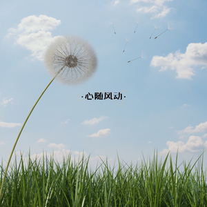 心随风动 (书法)