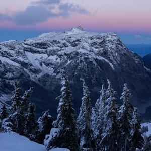 maybe im the problem