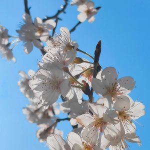 爱我你就抱抱我+Lucky(忧郁版)