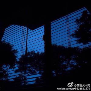 关于不知道是什么（prod：Leyoo17）